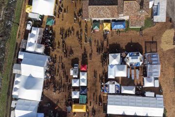 Fiera di San Martino