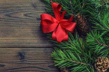 Pranzo di Natale di Besazio