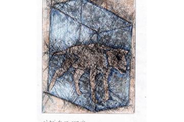 Incontro con Laura Pariani