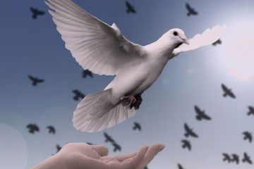 Educare alla libertà e alla speranza