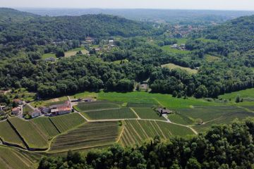 Degustazione di vini e prodotti del territorio