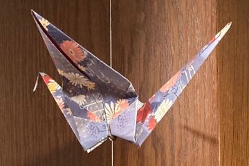 Gru di origami