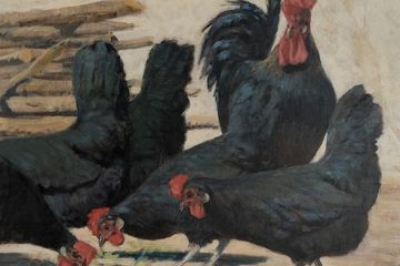 Spartaco Vela. Impressioni dal vero