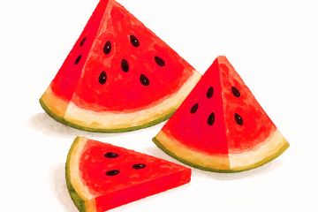 Torniamo a parlare di Gaza