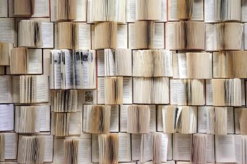  Hesse now - una biblioteca della letteratura universale