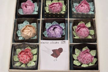 Ninfee di origami