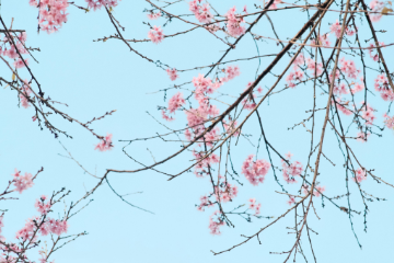 Spazio aggregativo La Dispensa Aprile 2026