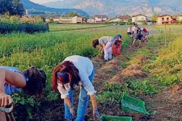 Agricoltura solidale e locale