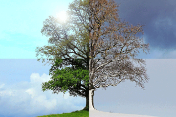 Alla giusta stagione