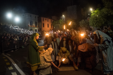 Processione delle Palme