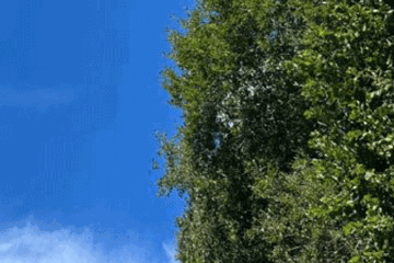 I Codici del Tempo Naturale