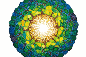 La luce nascosta dell'ombra