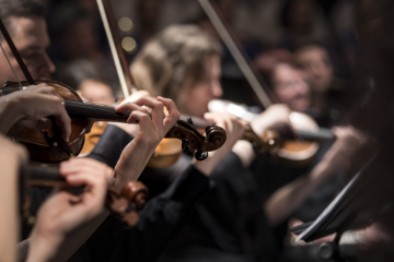 Complesso Strumentale V. E. Marzotto Città di Valdagno e Civica Filarmonica di Mendrisio