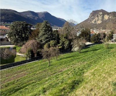 Transumanza urbana: un nuovo modo di vivere e curare il verde cittadino