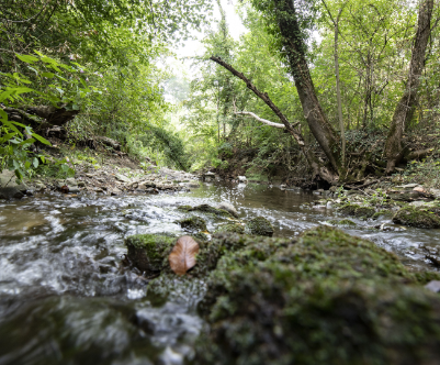Il Mendrisiotto e Basso Ceresio riconosciuto come Swisstainable Destination