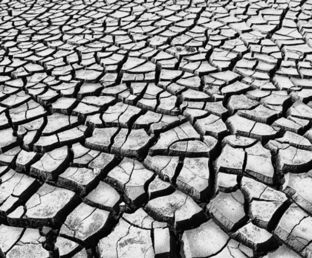 Al via mercoledì 17 settembre il ciclo di conferenze Emergenza Terra