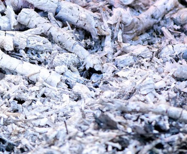 Cenere e scarti vegetali