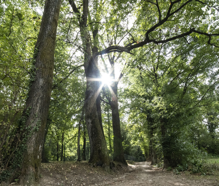 natura